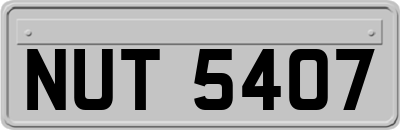 NUT5407