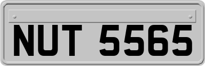 NUT5565