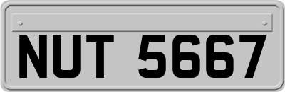 NUT5667
