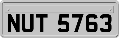 NUT5763