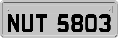 NUT5803