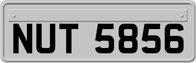 NUT5856