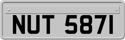 NUT5871