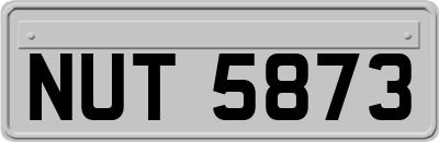 NUT5873