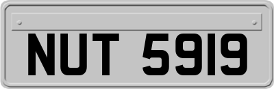 NUT5919