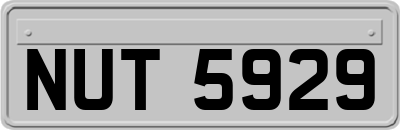 NUT5929