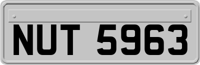 NUT5963
