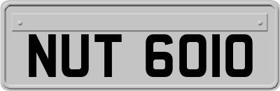 NUT6010
