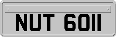 NUT6011