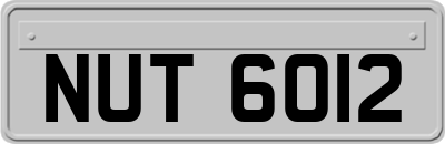 NUT6012