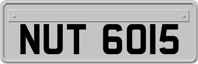 NUT6015