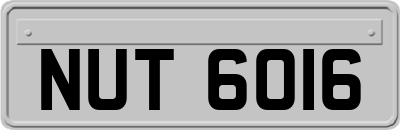 NUT6016