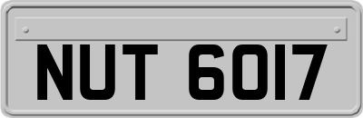 NUT6017