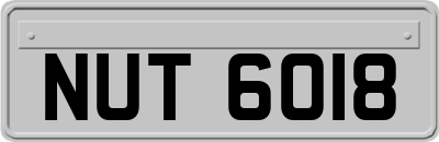 NUT6018