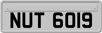NUT6019