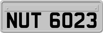 NUT6023