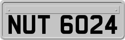 NUT6024