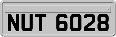 NUT6028
