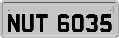 NUT6035