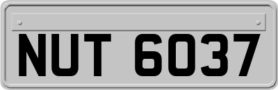 NUT6037