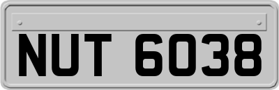 NUT6038