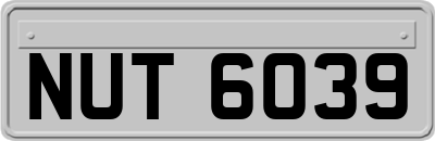 NUT6039