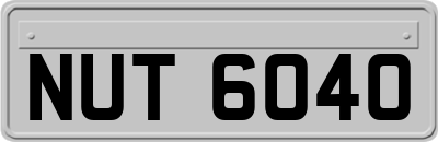 NUT6040