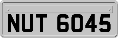 NUT6045