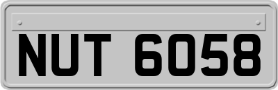NUT6058