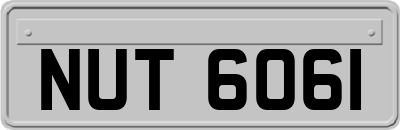 NUT6061