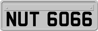 NUT6066