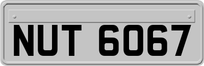 NUT6067