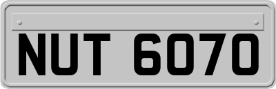 NUT6070