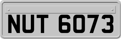 NUT6073