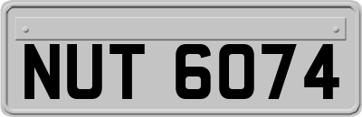 NUT6074