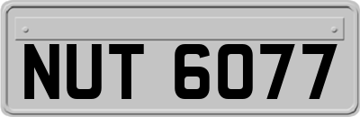 NUT6077