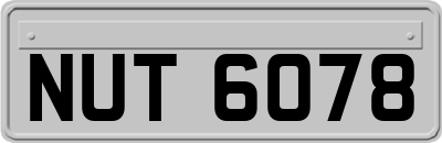 NUT6078