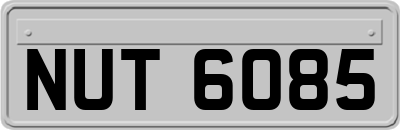 NUT6085