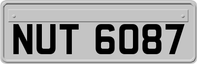 NUT6087