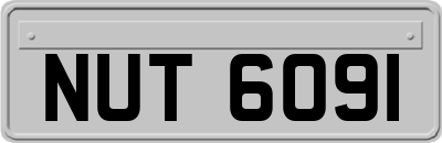 NUT6091