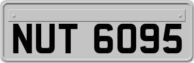 NUT6095