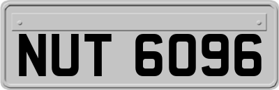 NUT6096