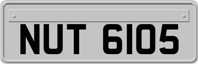 NUT6105