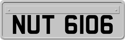 NUT6106