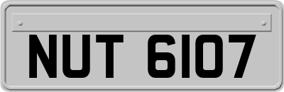NUT6107