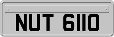 NUT6110