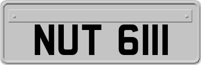 NUT6111