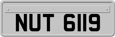 NUT6119