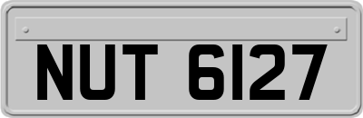 NUT6127