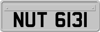 NUT6131